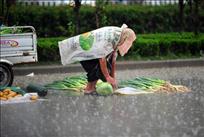 雨中老人