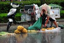 雨中卖菜人