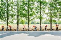 养路工进行曲