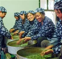 巧手茶香