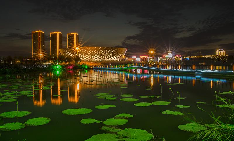 下一页 作品名称: 荷塘夜景 作品描述: 拍摄地点: 钟祥市莫愁湖