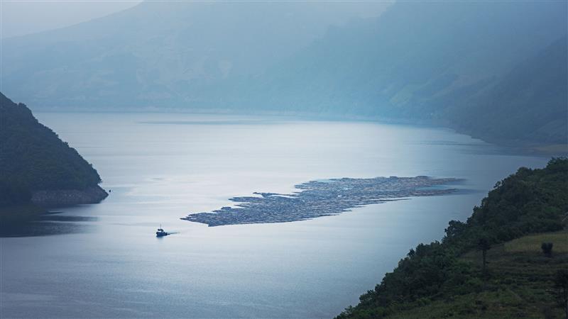 拍摄地点: 临江市白马浪  拍摄时间: 2015-09-18  作品       烟雨