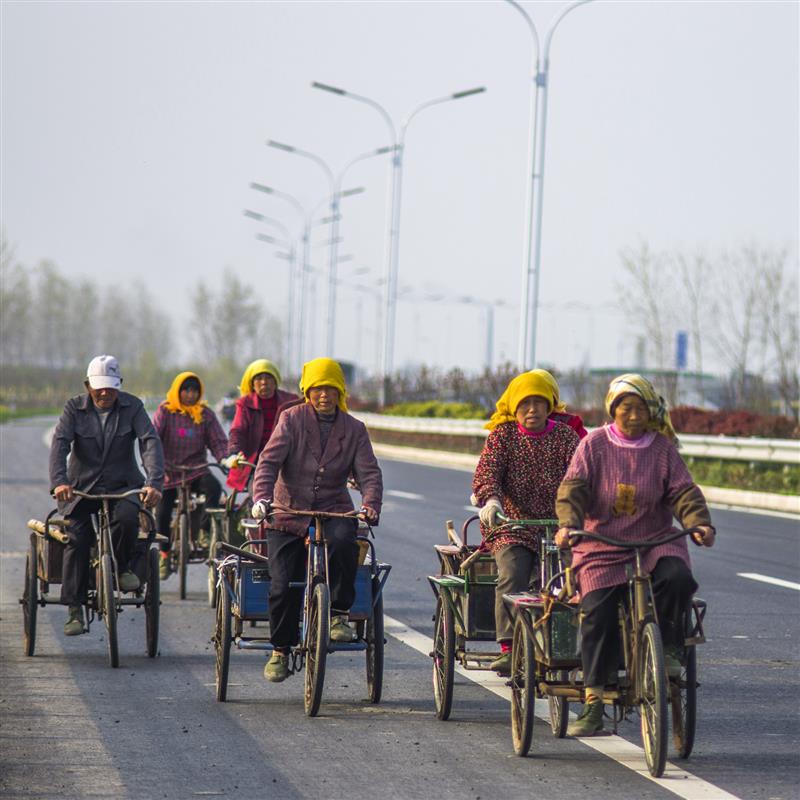 作品拍摄于江苏苏北地区,描述当地的苏北农妇每天辛苦耕作奔小康社会