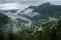 雾海人家