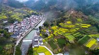 春满家园