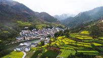《春满山村》