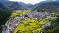《美丽瑶村》