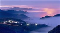 长岭紫霞