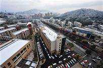 山城初雪