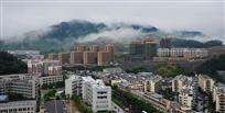 雨后春笋