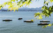 《春满湖面》