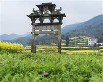 3《乡愁》
