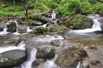 源头活水石上流