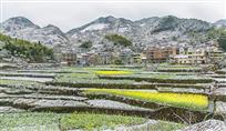 乡村春雪