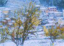 小坞尖春雪