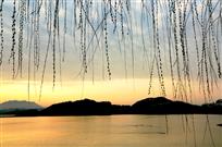 一帘幽梦