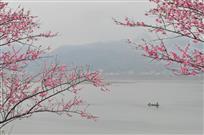 湖边春色