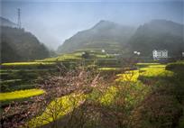 春到金峰