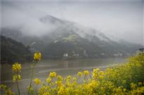 雾绕山村