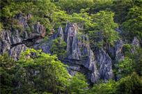 千岛湖石林