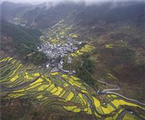 金峰之春
