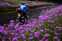 一路花相伴