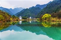 临岐好风光