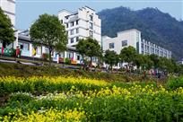 临岐新农村