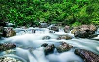 青山无语