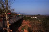 驻足拦杆边观赏风景