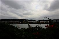 千岛湖晨韵