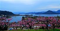 春意闹