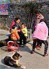 闲日子慢生活