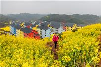 《美丽乡村》