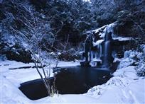 九咆冬雪