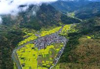 春到山谷
