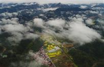 山谷春晓