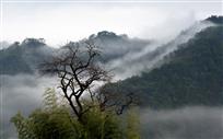 雾锁山中