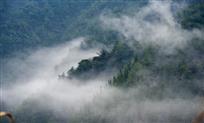 云雾山中