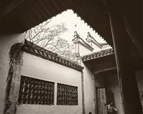 《似曾相识燕归来》