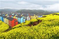 《多彩乡村》