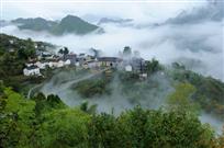 百照烟雨