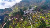 山村春色