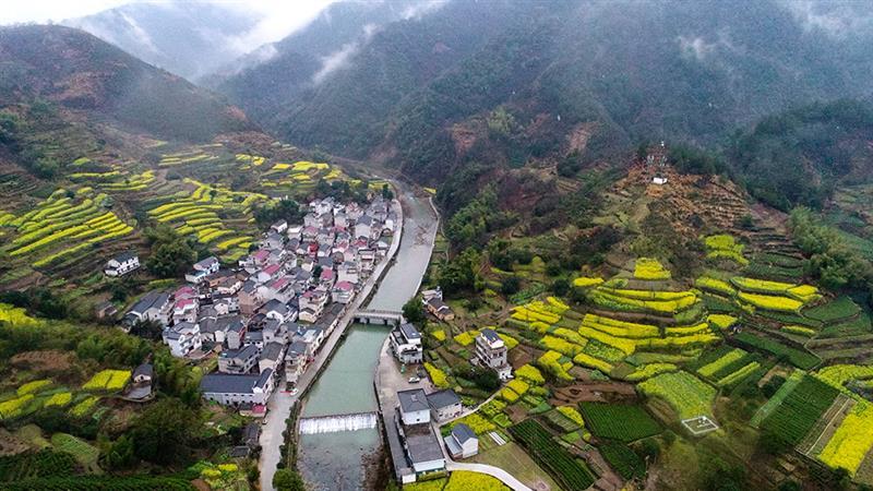 拍摄地点 淳安县左口乡左口村 拍摄时间 2017-03-19 作品