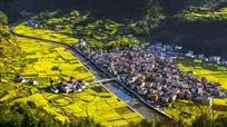 花伴山村
