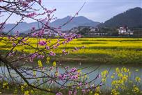 春满人间
