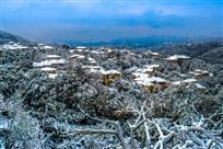 雪庐