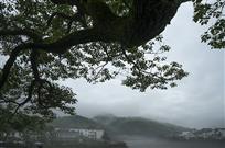 画中山村