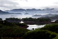 岛湖之光