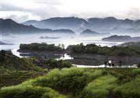 绝世净地